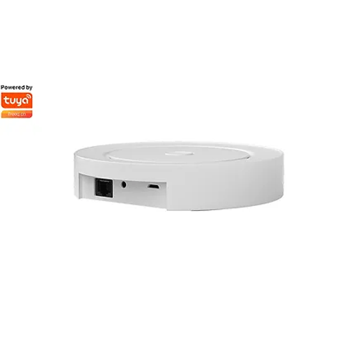 [460000065] SMILE ZBBL200 Zigbee/Bluetooth WiFi Gateway up to 200 connected ZIgbee devices and 100 BLE